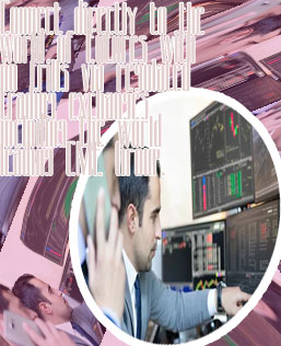 Top forex brokers in the world